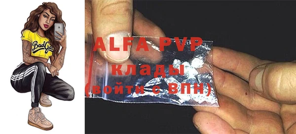 гашик Арсеньев