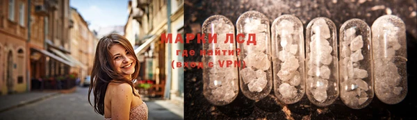apvp Аркадак