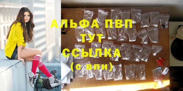 гашик Арсеньев