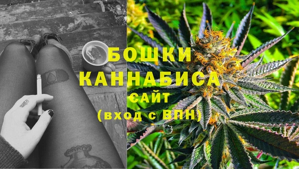 дмт Чегем