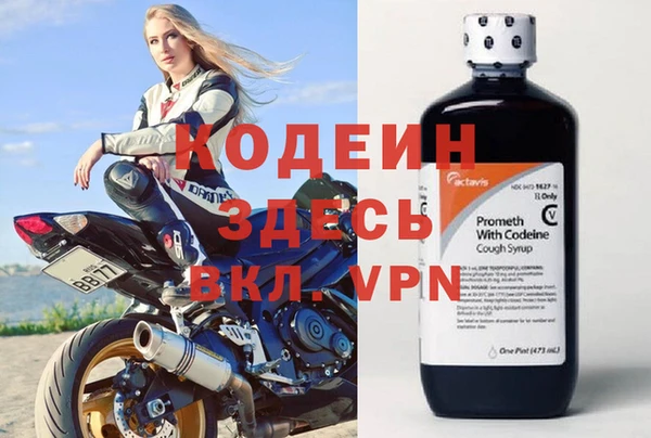 гашик Арсеньев