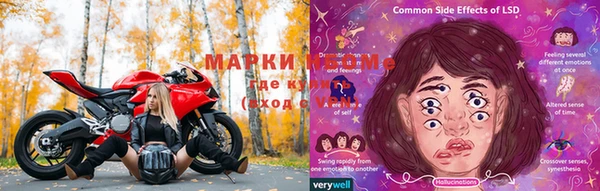 apvp Аркадак