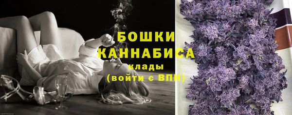 apvp Аркадак