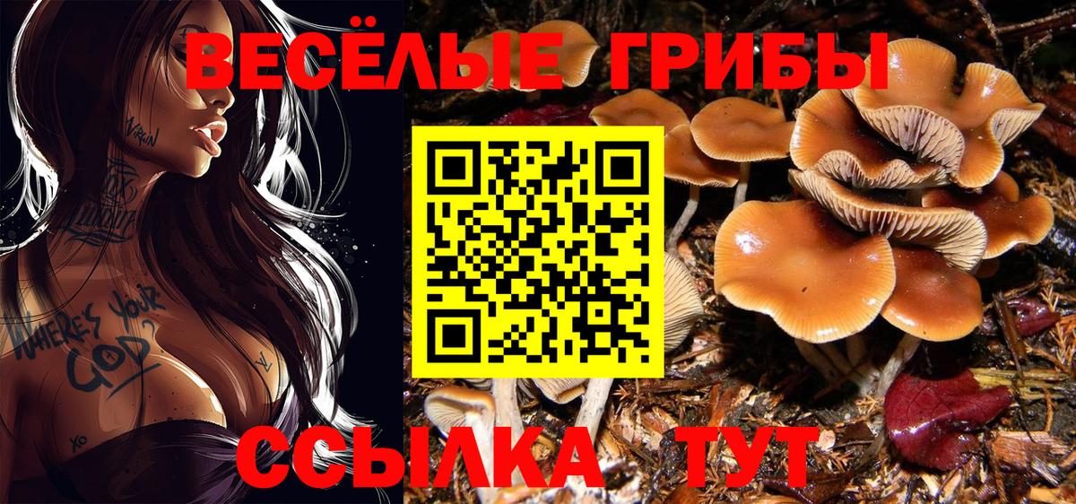 Черкесск  Псилоцибиновые грибы Psilocybe  Вход с VPN  Галлюциногенные грибы MAGIC MUSHROOMS 